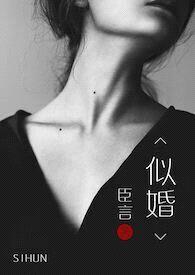 似婚(军婚 离婚后 高H)